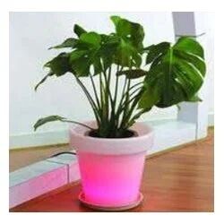 PP LED Flower Pot, Feature : Enhanced Service Life, High Efficiency, Accurate Dimension, Highly Illuminated