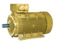 TEFC Squirrel Cage Induction Motors