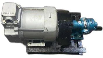 High Temperature Rotary Gear Pump