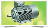 AC Induction Motor