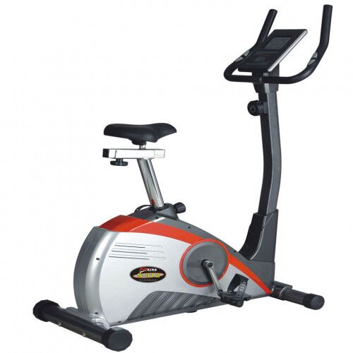 MAGNETIC UPRIGHT BIKE