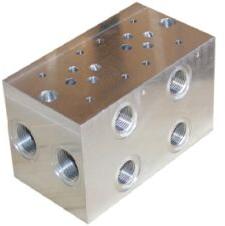 Manifold Block