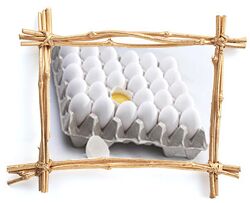 Egg Tray