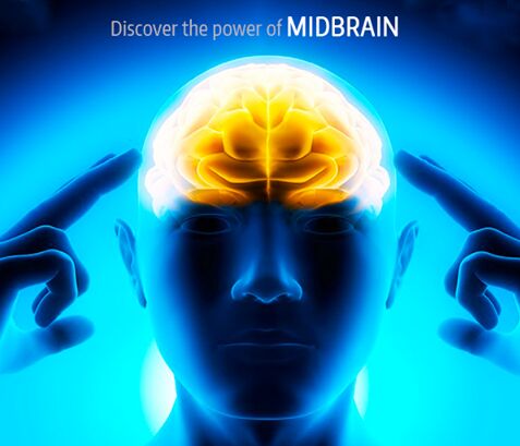 MIdbrain Activation