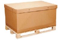 Fumigated Corrugated Box