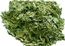 Moringa Dry Leaf