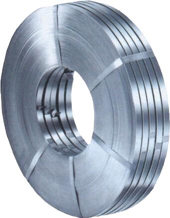 Stainless Steel Strips