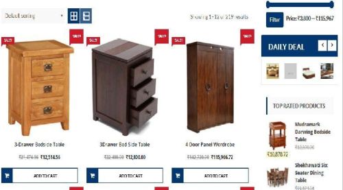 Ecommerce Website Development