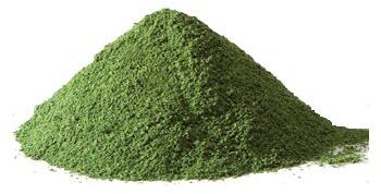 Natural Organic Moringa Powder, For Cosmetics, Medicines Products, Food, Style : Dried