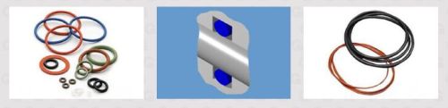 Elastomeric O-Ring Seals