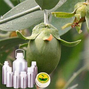 Jojoba Golden Oil