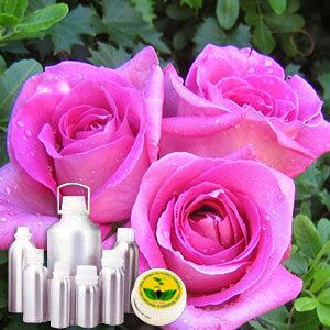 Rose Attar