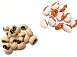 Black Eye Beans