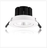 Adjustable Downlight