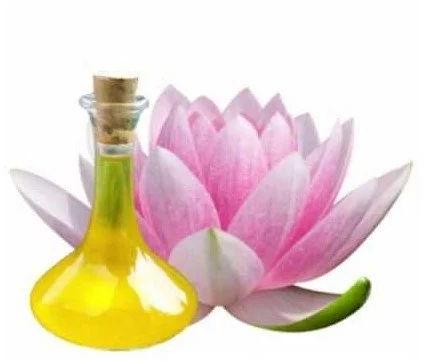 Lotus Essential Oil, Feature : Purity, Hygienic, Highly Effective, Great Smell