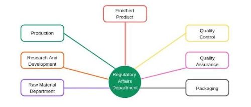 Pharma Regulatory Documentation