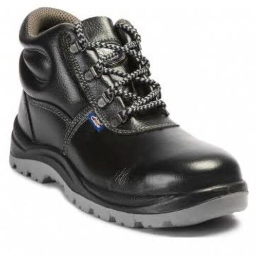 Safety Shoes, Gender : Male