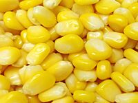 Sweet Corn, Packaging Size : 2 kilogram x 10 bags