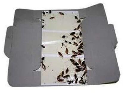 Cockroach Glue Trap, Size : 19*9 Cm