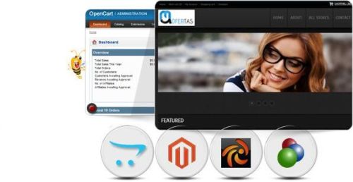 Ecommerce Web Design Services