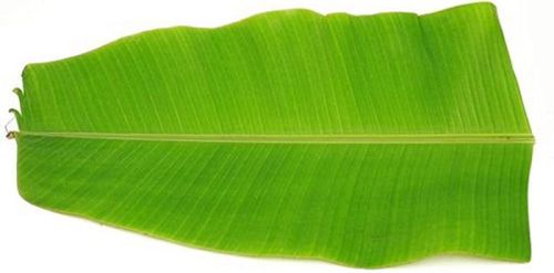 Green Natural Fresh Banana Leaf, For Making Disposable Items, Packaging Type : Plastic Bag
