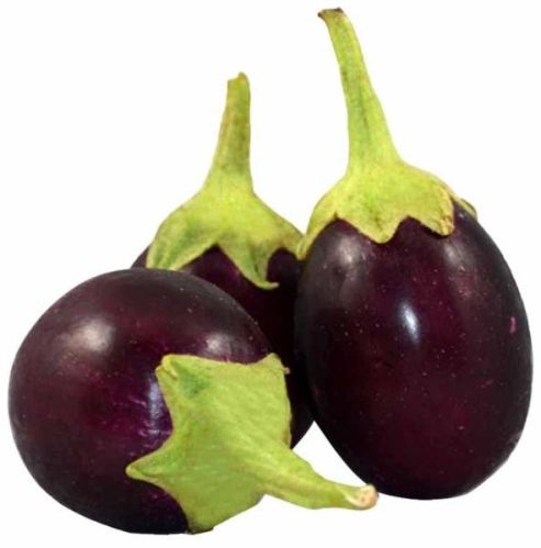 Fresh Brinjal, Packaging Size : 25kg 50kg