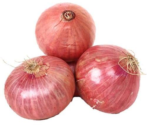 Fresh Pink Onion, For Human Consumption, Packaging Size : 25kg 50kg