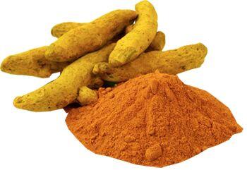 Turmeric Fingers and Powder