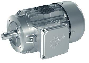 Electric Brake Motor