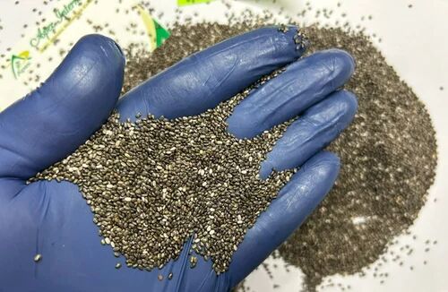 Apex International Black Chia Seeds, Purity : 99.75%