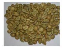 Robusta Cherry A Coffee Bean