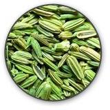 Fennel seeds, Storage Instructions : Dry Place