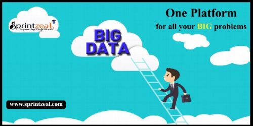 Big Data Certification Services