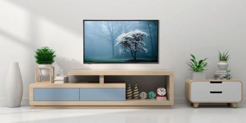 Television Rental Services