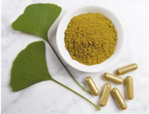 Ginkgo Biloba Extract, Brand Name : HUIR/Huir