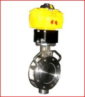 Eccentric Butterfly Valve