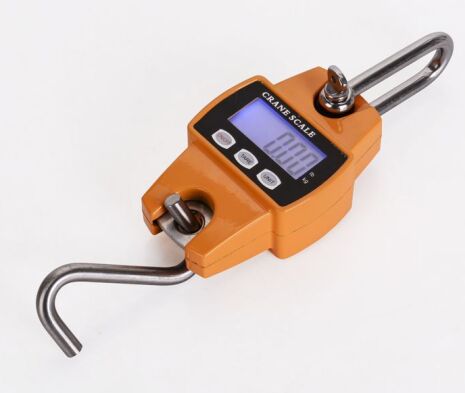 300kg Mini Crane Scale