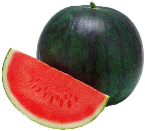 Green Natural High Quality Watermelon, For Human Consumption, Packaging Type : Loose