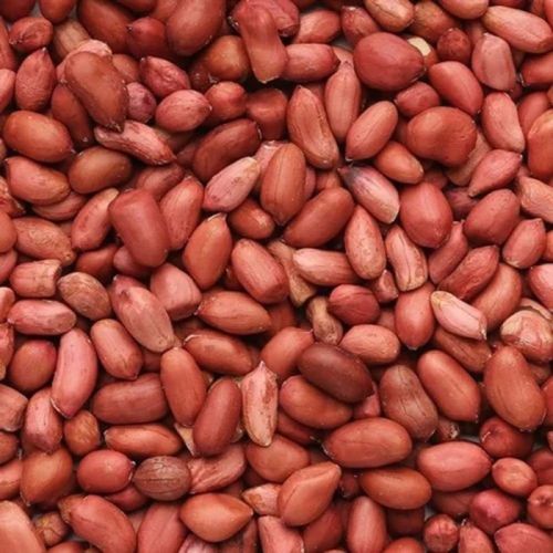 Red Common Natural Groundnut Kernels, For Butter, Cooking Use, Making Oil, Packaging Type : Bag