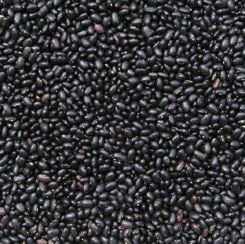 Organic Black Turtle Beans, Condition : Dried, Packaging Size : 1000