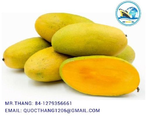 Organic fresh mango, Packaging Type : 2kg, 3 Kg, 4 Kg, 5 Kg, 6 Kg