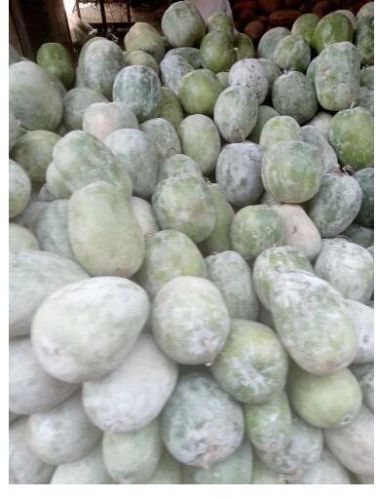 Organic Wax Gourd, Variety : Safed Petha