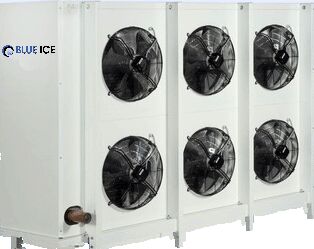 Building Blast Freezer