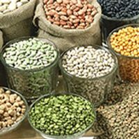 Grains and Pulses