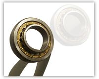 Cylindrical Roller Bearings