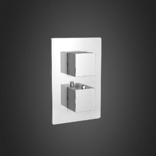 Thermostatic Shower Valve