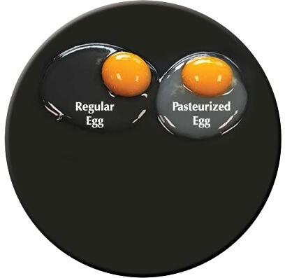 Pasteurized Shell Eggs