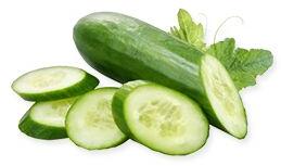 Cucumber