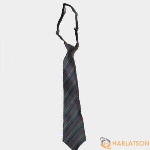 School Tie