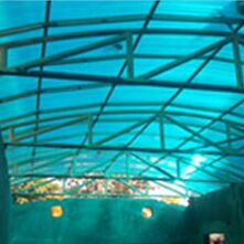 POLYCARBONATES ROOFING SHEETS